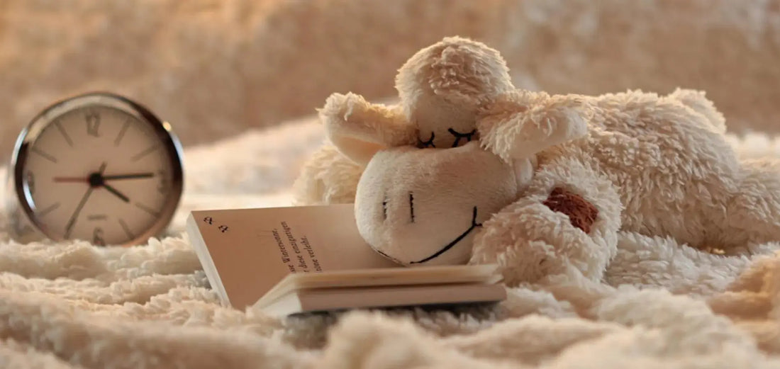 Créer un coin cozy parfait avec des coussins et plaids Coussin Dorsey