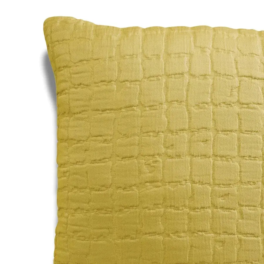 Coussin Carré Coton Swami Curry - 45X45 Vivaraise