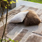 Coussin Carré Coton Swami Muscade - 45X45 Vivaraise