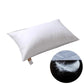 Coussin Garnissage 30x50 cm Plumes d'Oie - Coussin Dorsey