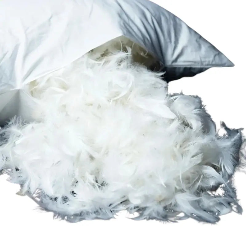 Coussin Garnissage 30x50 cm Plumes d'Oie - Coussin Dorsey