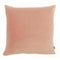 Coussin Uni Elise Epice 45x45